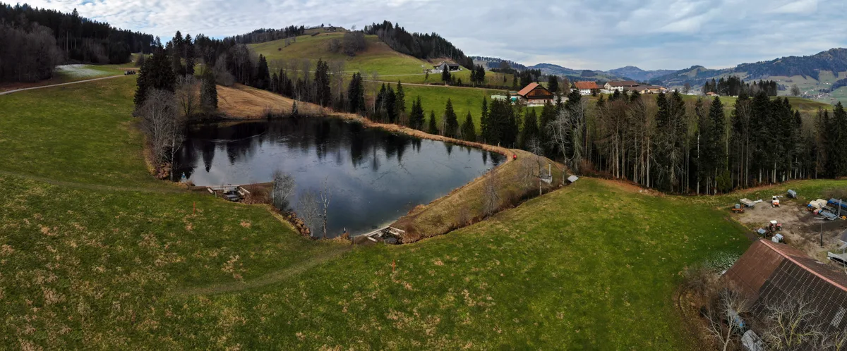 So sah der Bachtelweiher vor der Sanierung aus